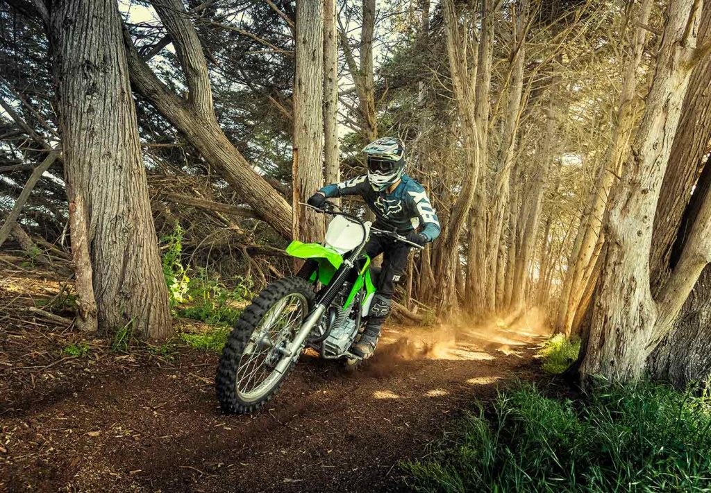 2020 Kawasaki KLR230