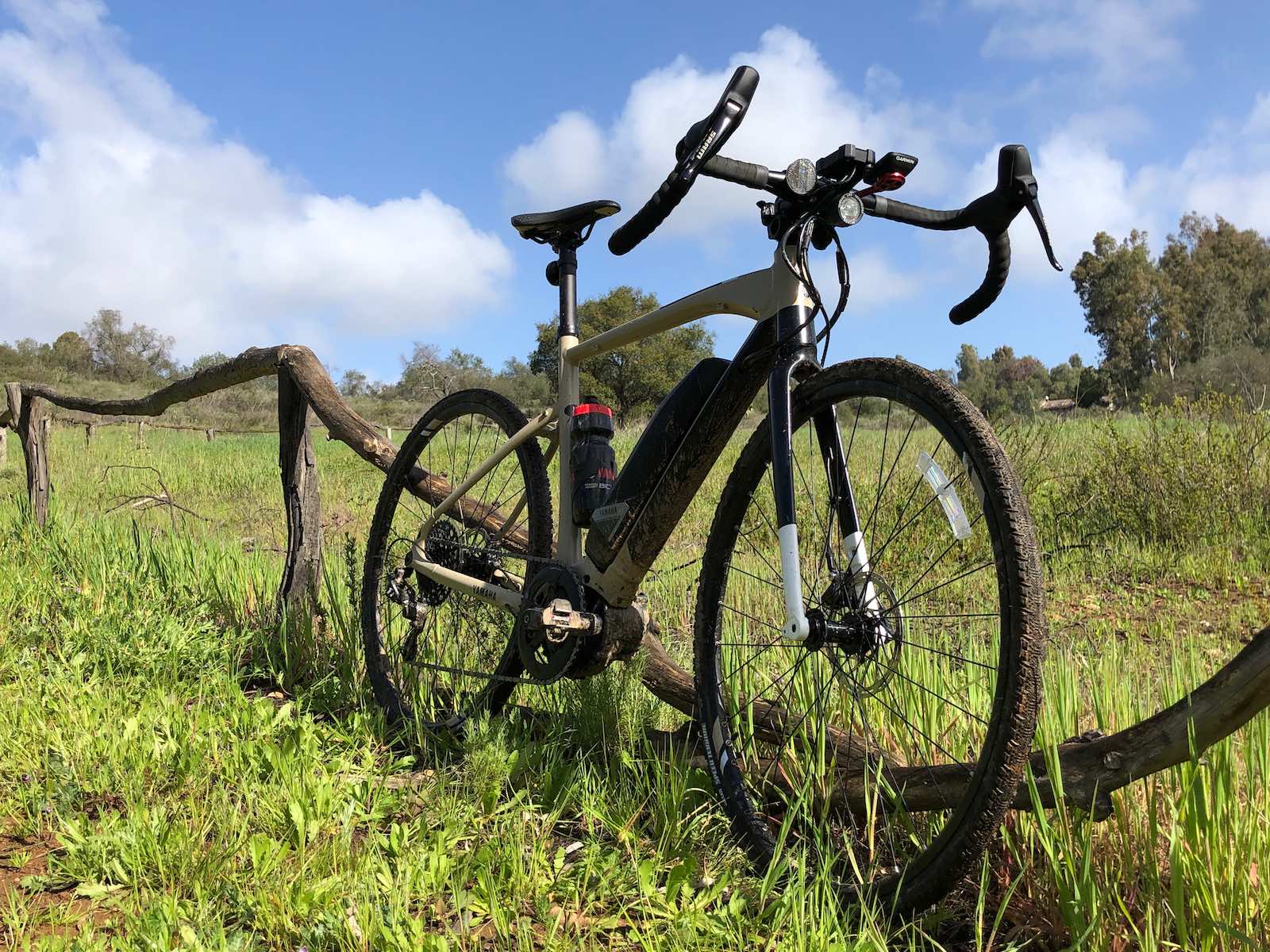Electric city bike standing on grass rests against wooden fence during a sunny day