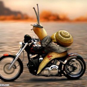 Riding in slow motion