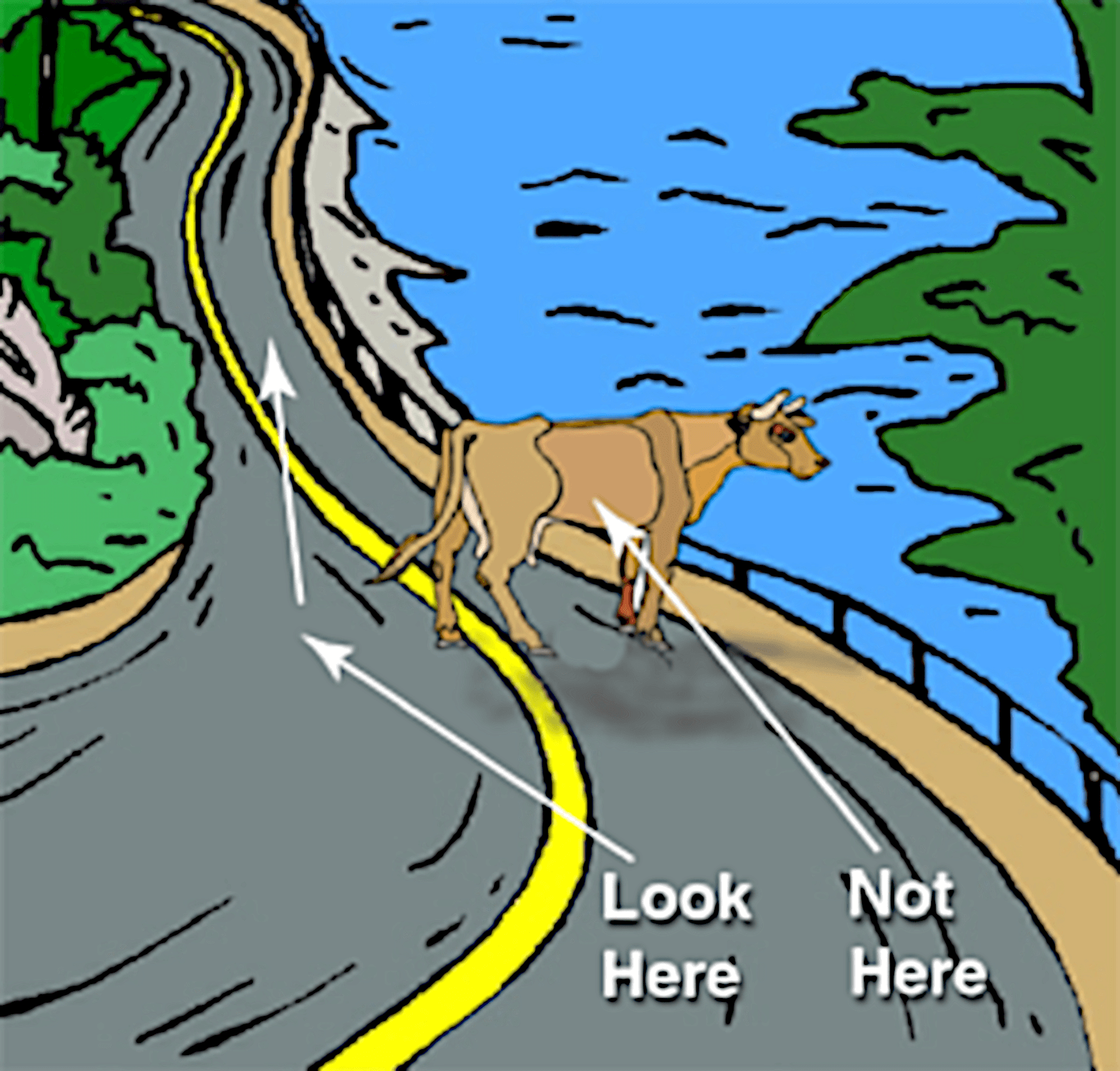 Object fixation - look where to go on motorcycle